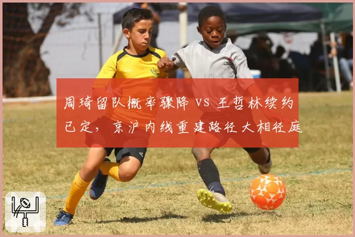 周琦留队概率骤降 vs 王哲林续约已定,京沪内线重建路径大相径庭
