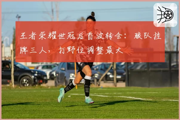 王者荣耀世冠后首波转会：狼队挂牌三人，打野位调整最大
